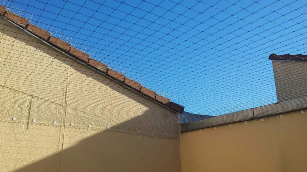 système anti pigeon aix en provence 13100