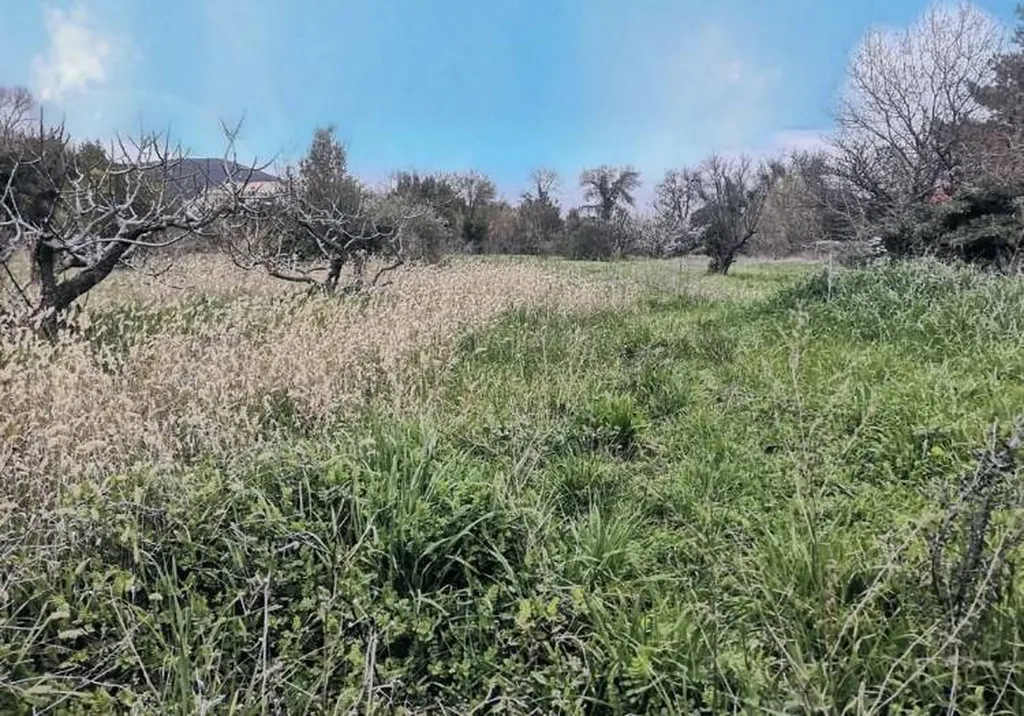 à la vente terrain à construire dans le Var