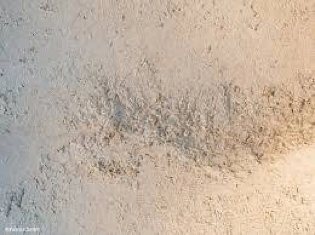 PRÉPARATION DES FONDS