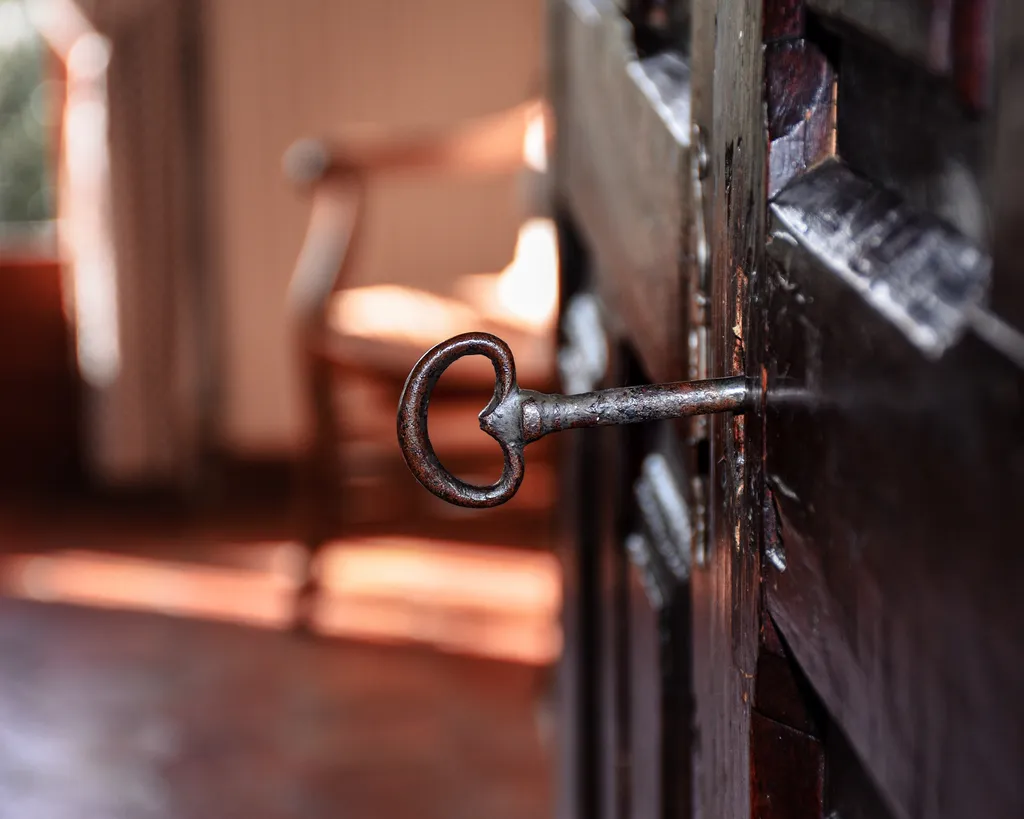 agit efficacement lors de l'infestation de votre armoire en bois avec Canem Detect à Boulogne-Billancourt