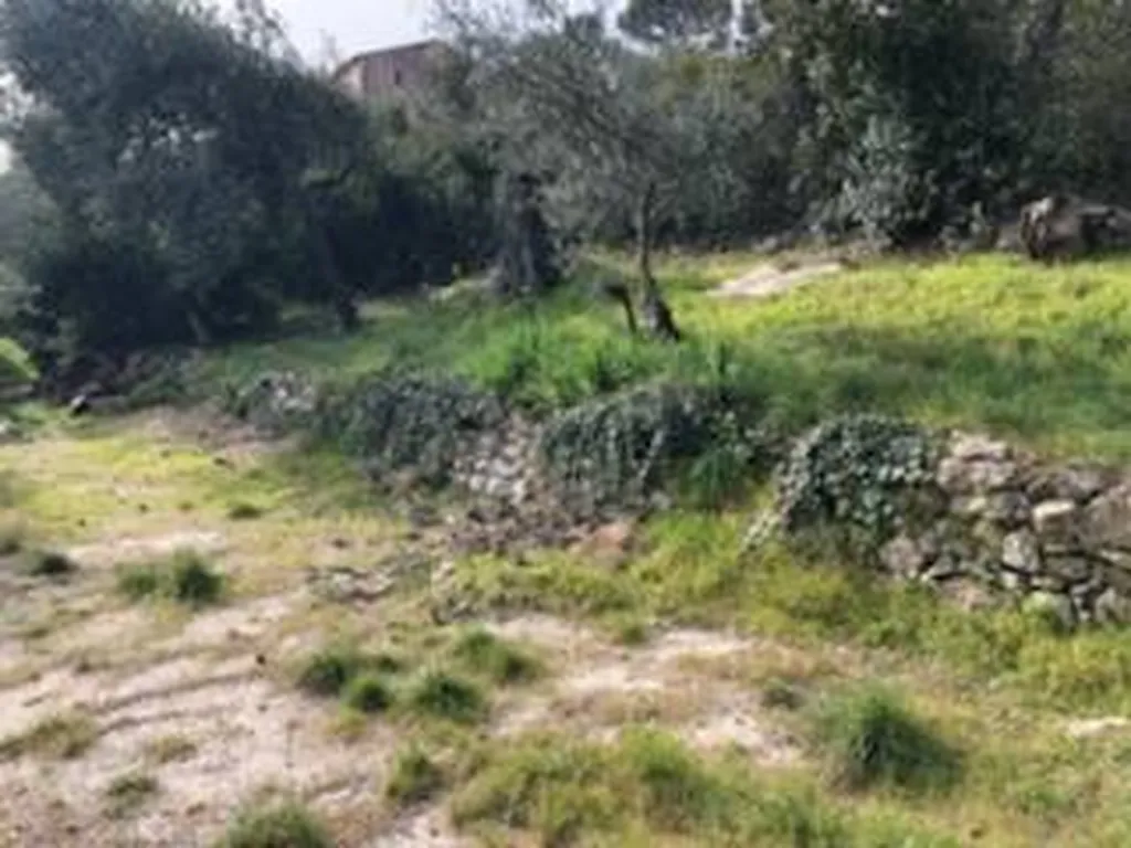 Terrain à la vente avec vue dégagée Carnoules