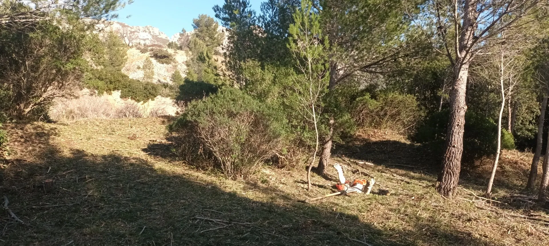 prix et devis rapide jardinier entretien jardin 13009