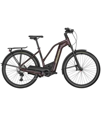 Location de vélo à assistance électrique lyon 750Wh