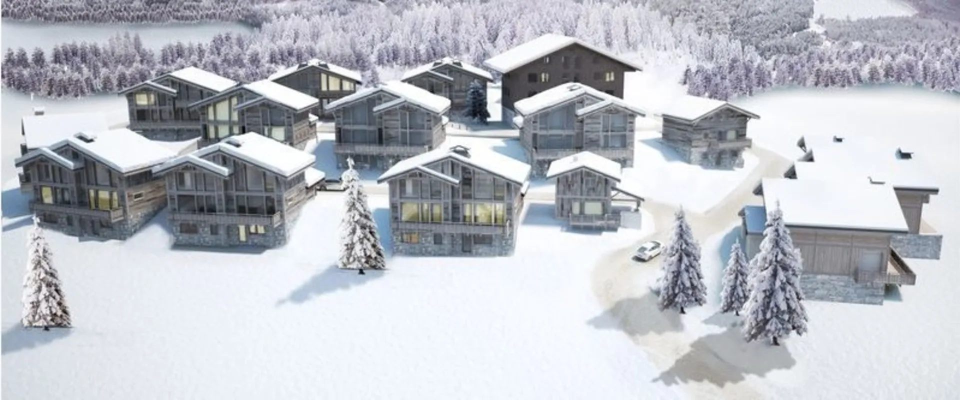 chalet de luxe praz sur Arly 