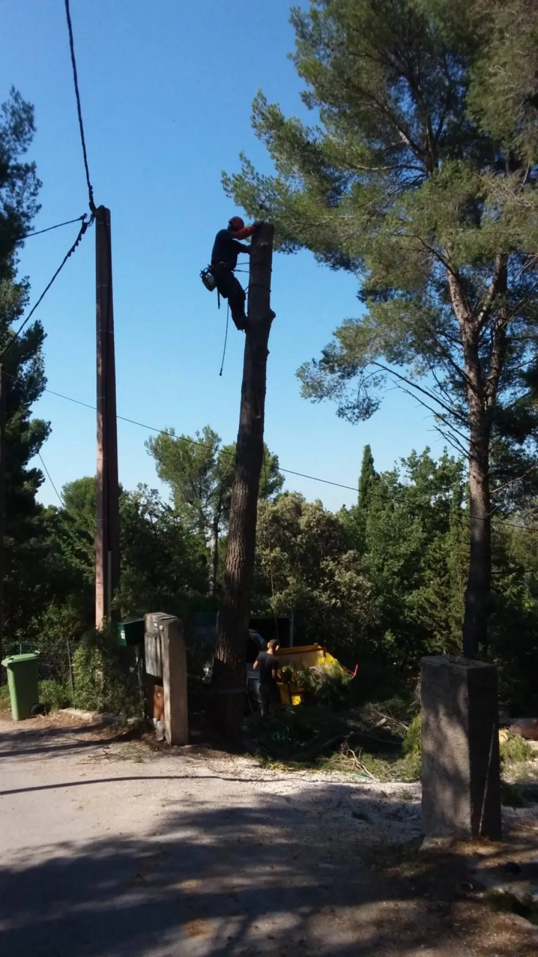 Broyage d'arbres proche de Vitrolles 13127
