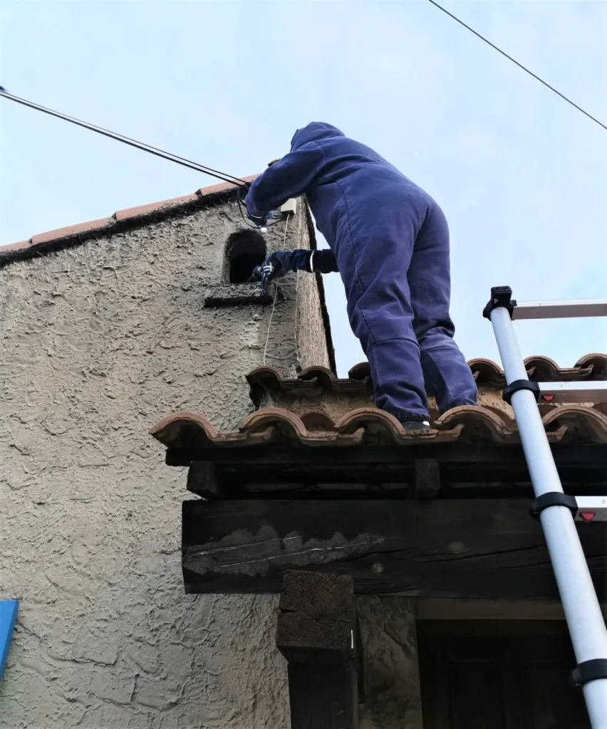 nid de frelons sous tuiles à velaux 13880