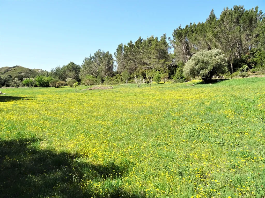 Grand Avignon, Propriété de plain-pied exposée plein sud   