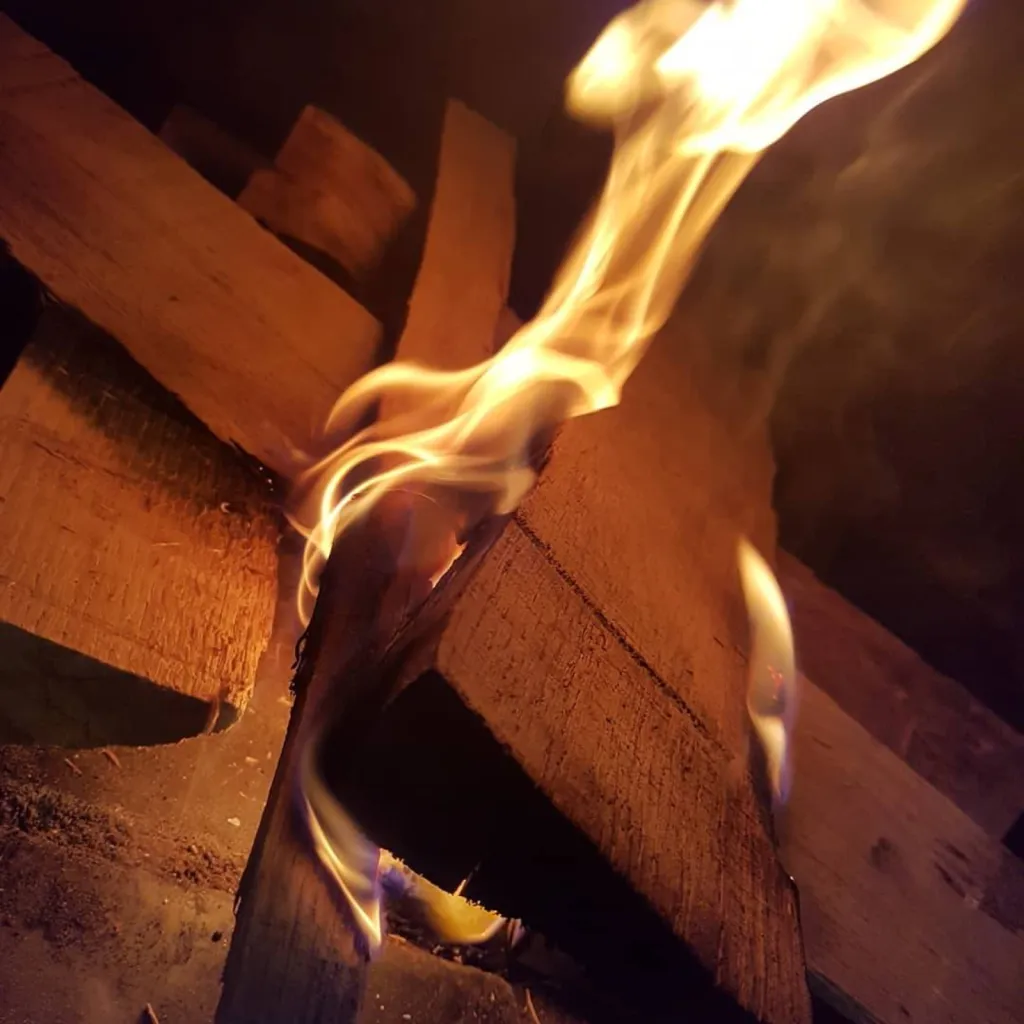 pizza feu de bois salon de provence 