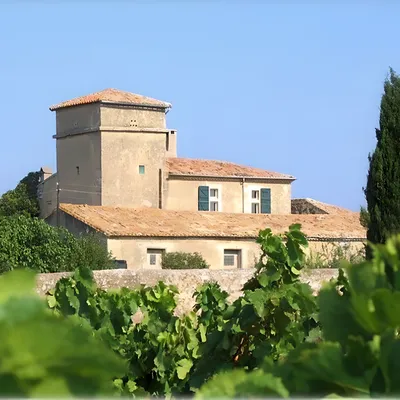 Journée Découverte à Villeneuve-lès-Maguelone et Frontignan : Visite et Dégustation au Château Exindre, Déjeuner Gourmand et Pause Sucrée aux Zézettes