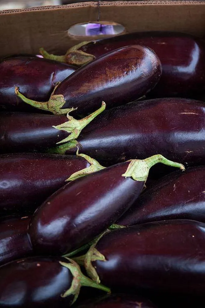 Livraison d' Aubergine vrac 3 pièces  dans votre quartier à Marseille