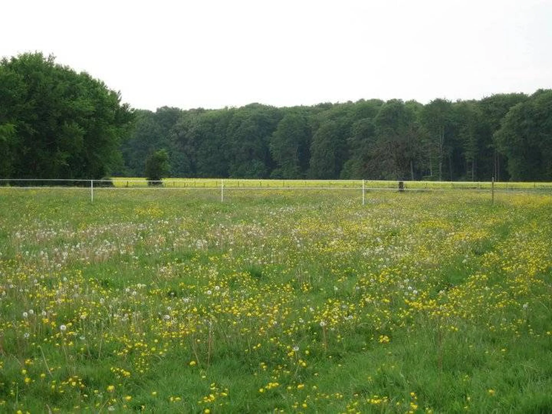 Acquérir charmante propriété dans le pays d'auge, eure 27, calvados 14, orne 61