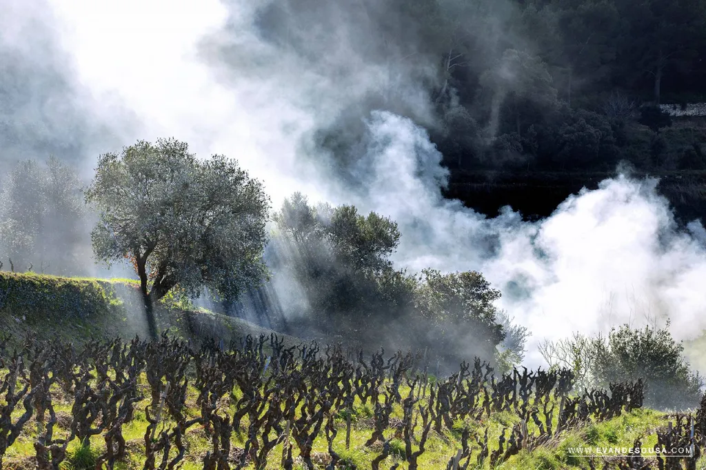 Estimation avec prix au m2 à Cassis pour maison avec piscine