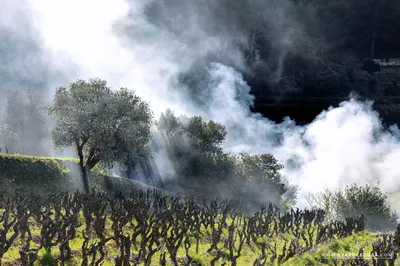 Estimation avec prix au m2 à Cassis pour maison avec piscine