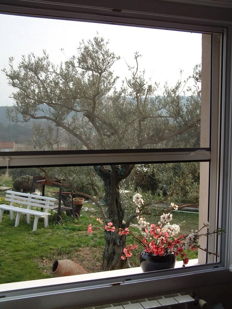 Moustiquaire enroulable Saga