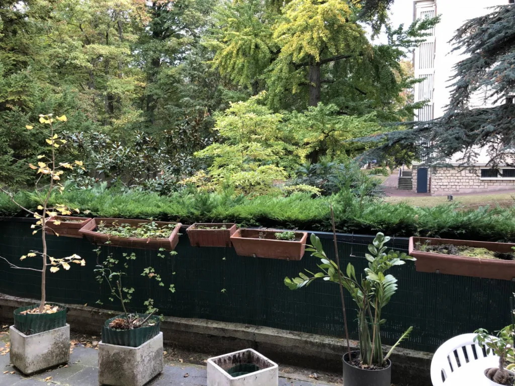 quartier foret saint germain en laye