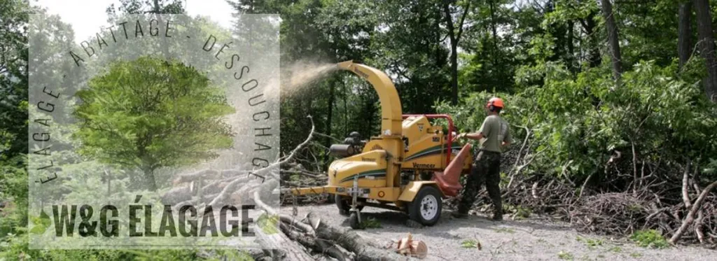 Entreprise d'élagage avec des d'élagueur professionnel pour l'abattage d'arbres à Parempuyre