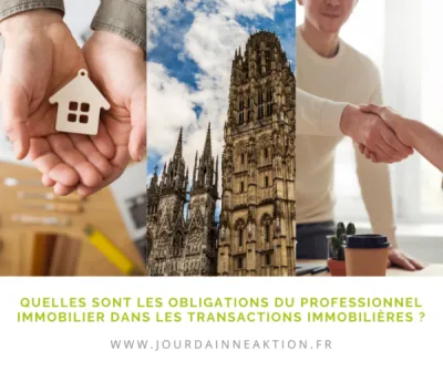 Maison sur Rouen : quelles sont les obligations du professionnel immobilier dans les transactions immobilières ?