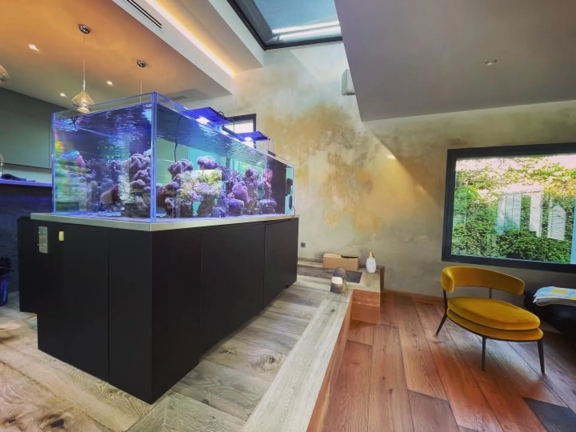 Aquarium eau de mer dardilly