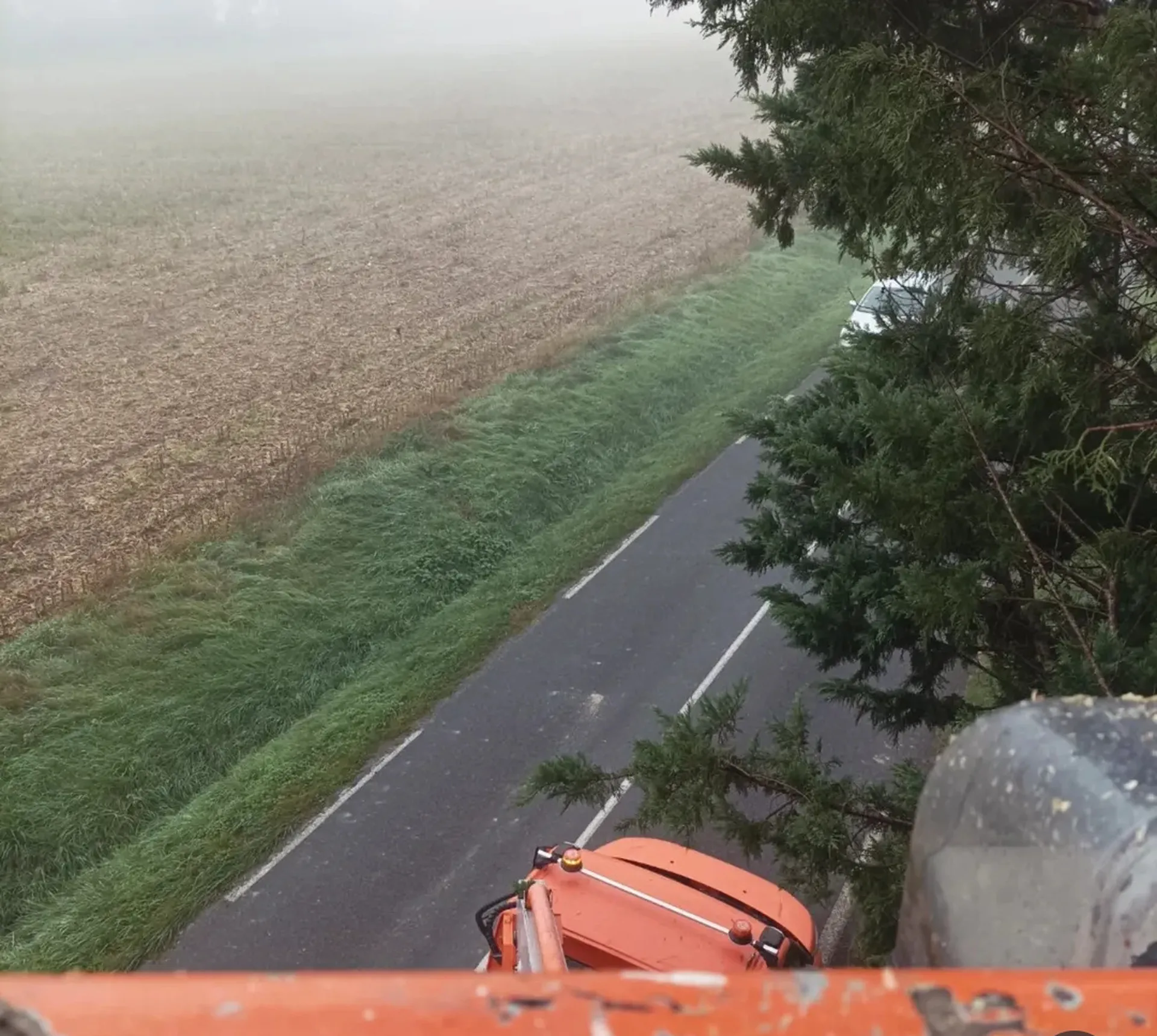 Grosse taille de thuyas à St julien sur Garonne près de Carbone.