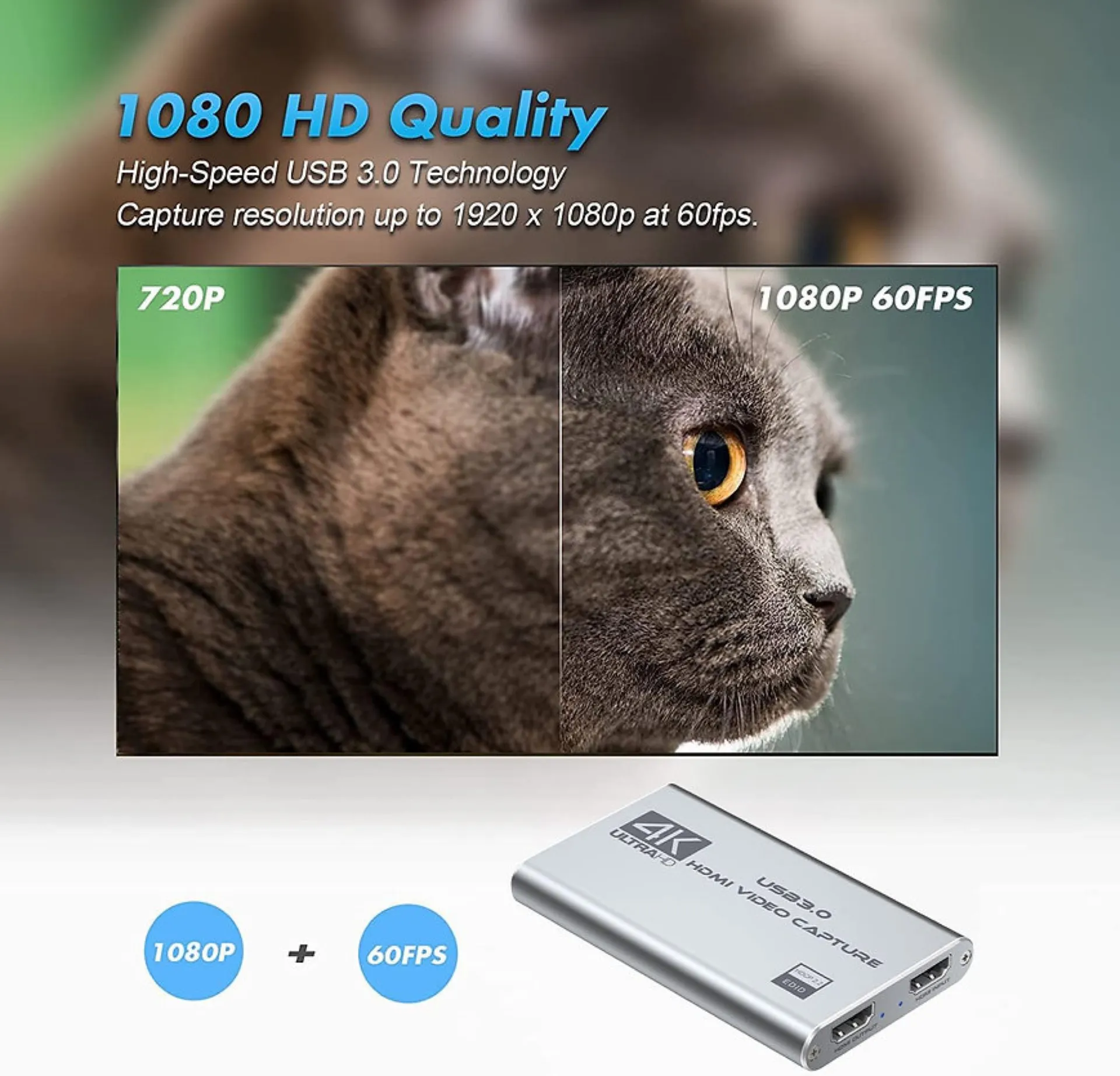 location carte video externe à menton dans les alpes maritime