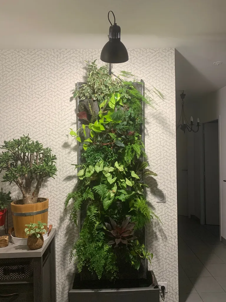 Comment créer mur végétalisé d'intérieur à la Teste de Buch