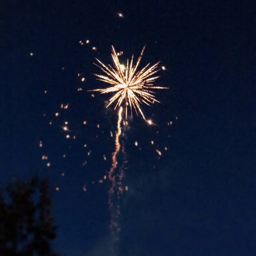 feu d'artifice au Havre 76