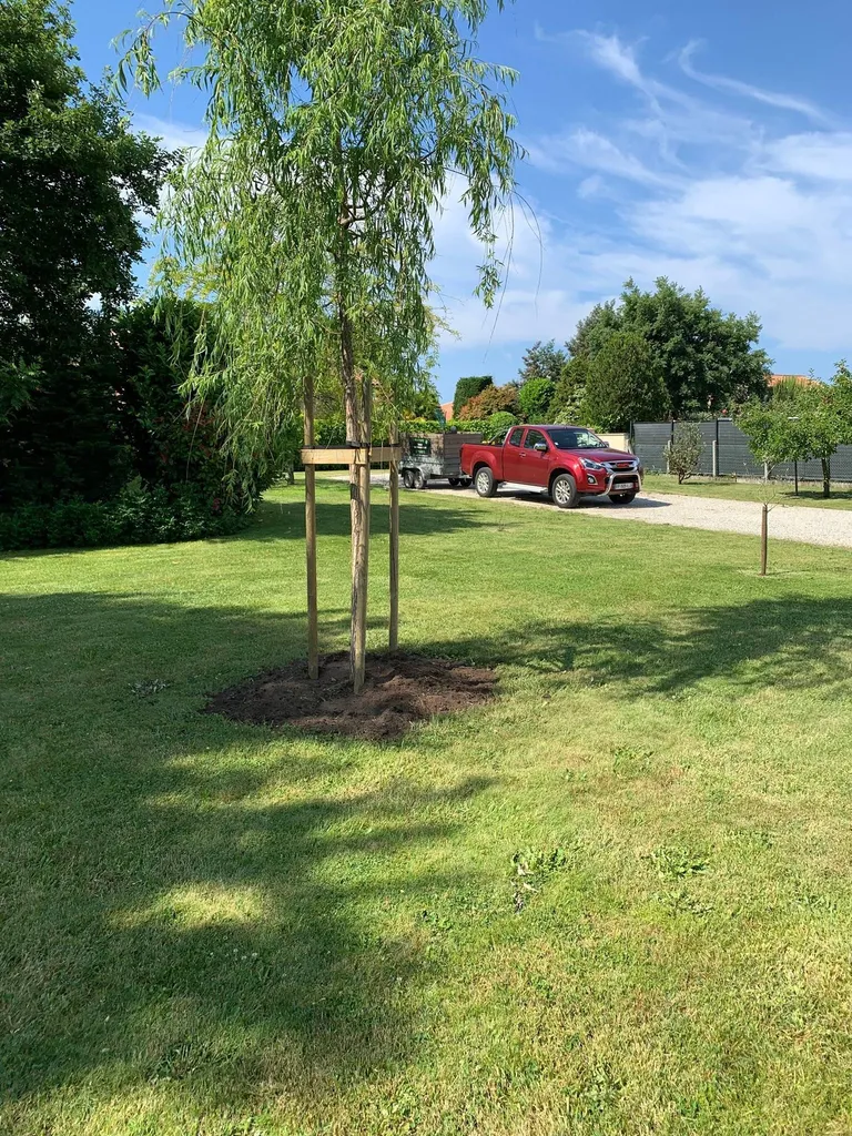 Evolution Paysage vous propose le meilleur tarif pour la tonte de votre pelouse