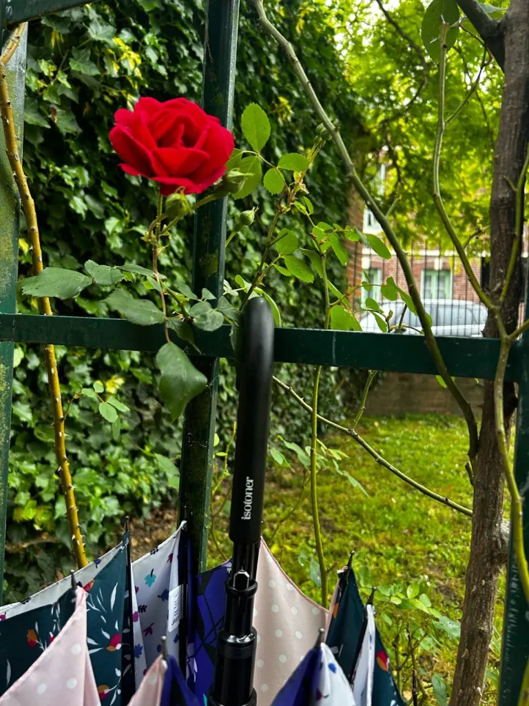 Parapluie Isotoner disponible chez Evasion Eu