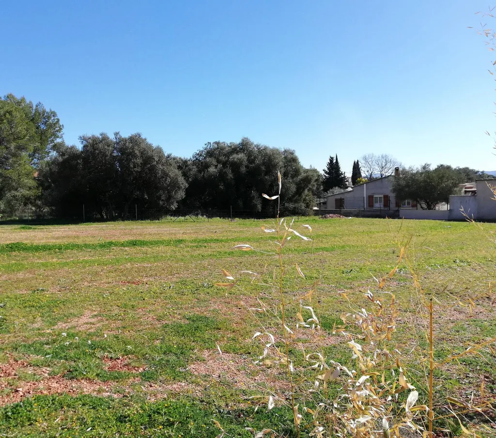 Terrain plat exposition sud au Luc dans le var