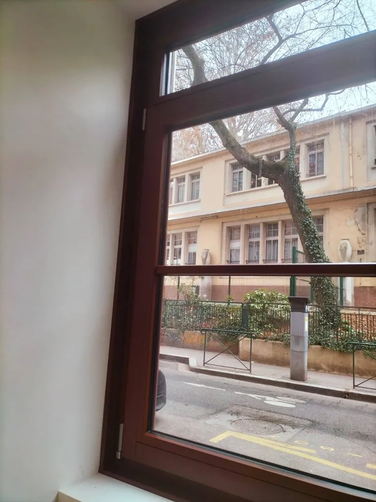 installation de fenêtres en bois exotique à Lyon 1