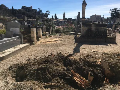 Abattage d'un arbre centenaire dans un cimetière du Gard