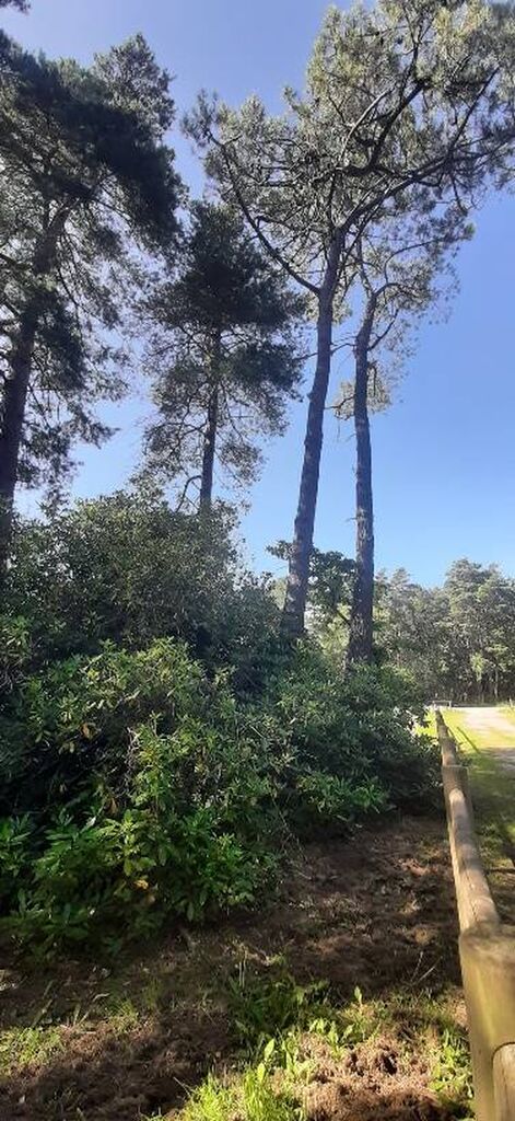 Propriété à vendre proche de la mer de Varengeville sur Mer, de Sainte Marguerite sur Mer, et de Quiberville sur Mer