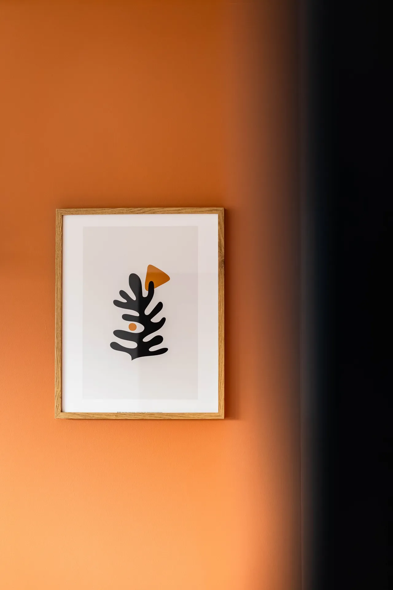 Toulouse Mage Studio