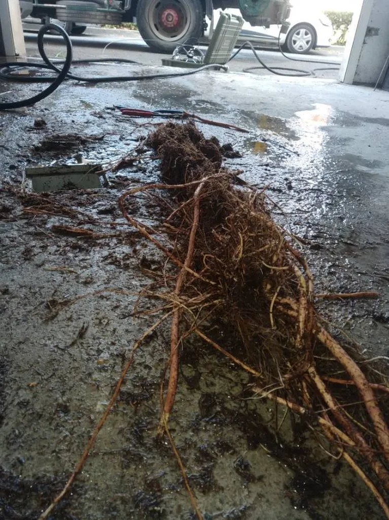 Curage de canalisation bouchée par des racines à Cadenet