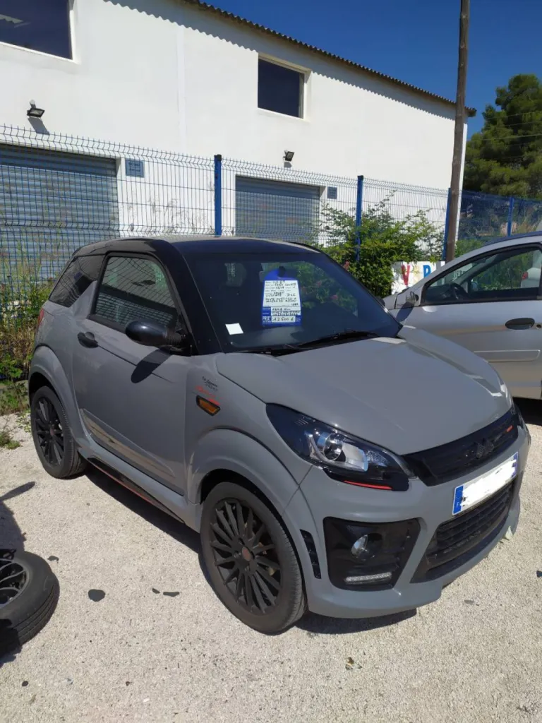 voiture sans permis occasion