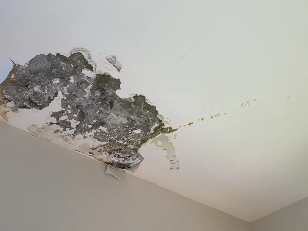 Notre zone d'activité pour ce serviceDiagnostic de fuite de piscine à Orléans près de Bourges 45