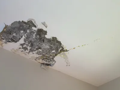 Localiser une fuite sans destruction suite à un dégât des eaux à Olivet dans le 45