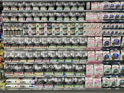 Croquettes pour chats