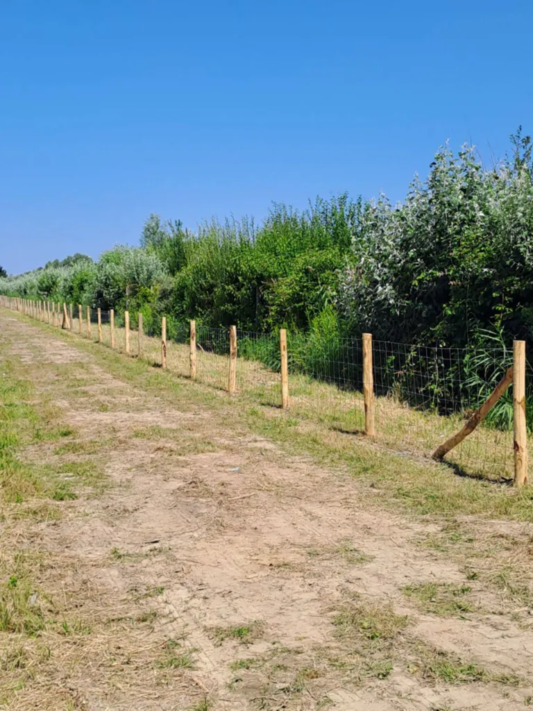 Nos Actions RSE pour la réinsertion