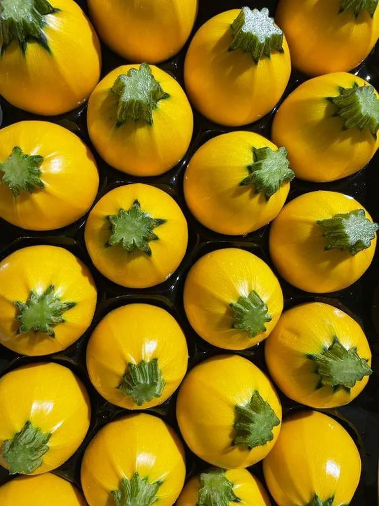 Courgettes rondes Jaunes