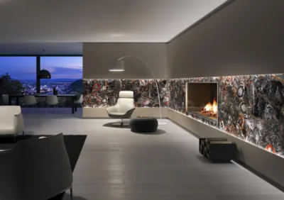 Black Petrified Wood