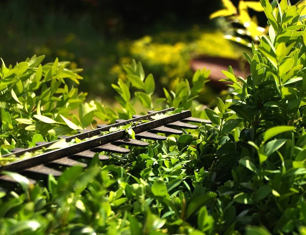 Quelles sont les villes couvertes par les services de jardinier à domicile HEMA SERVICES dans le Var ?
