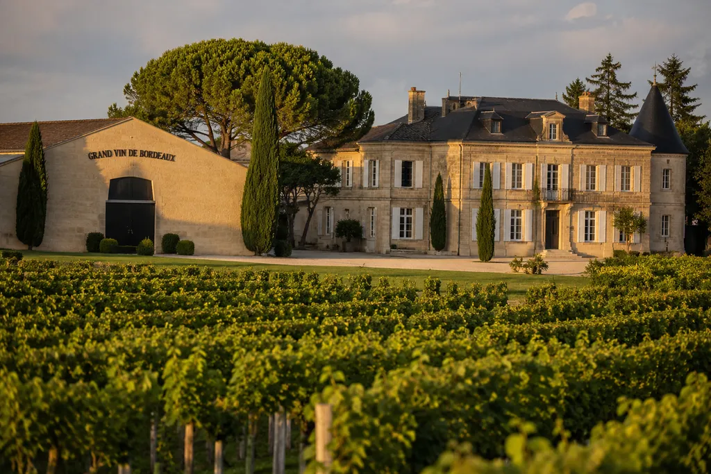 Organiser le transport de vins de Bordeaux pour l'étranger