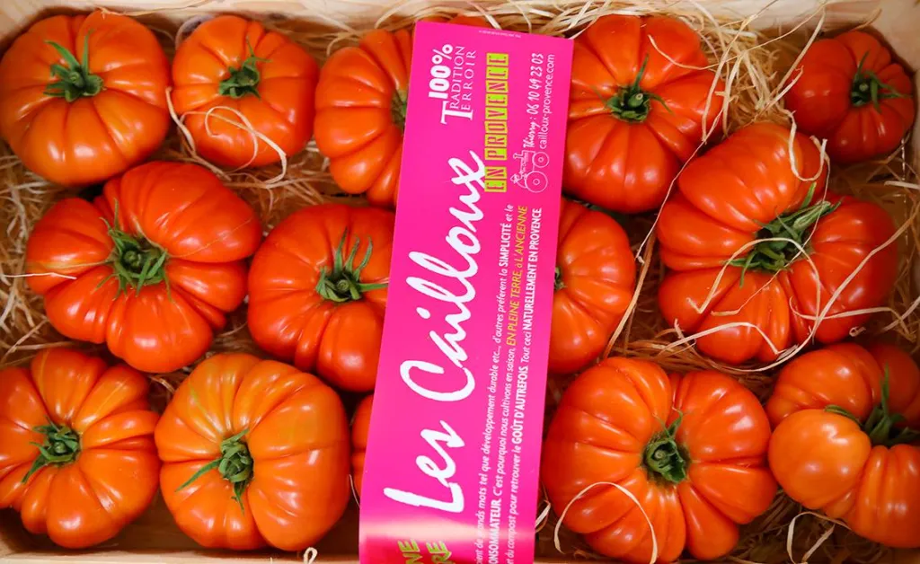 Producteur de tomate aix en provence