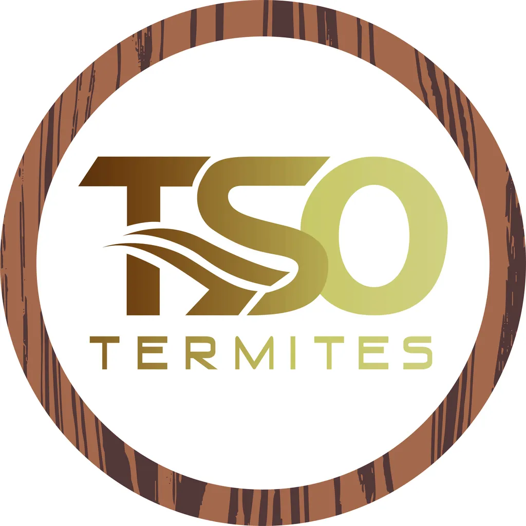 TSO TERMITES change de logo