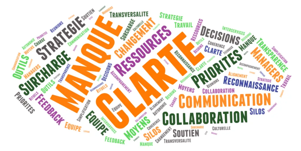 Nuage de mots issus Restitution de diagnostic de comité de direction pour un éditeur de logiciels à La Défense