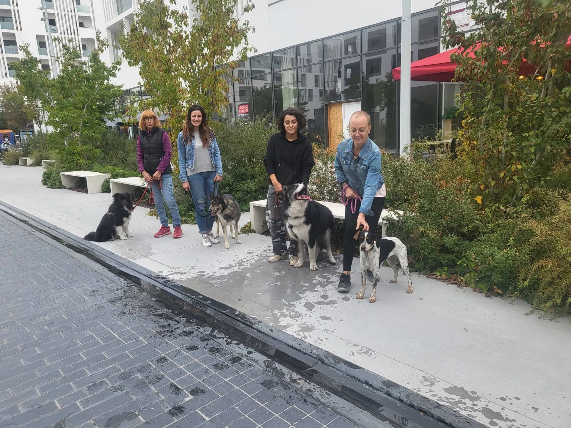 Groupe d'educateur comportementaliste en travail en ville