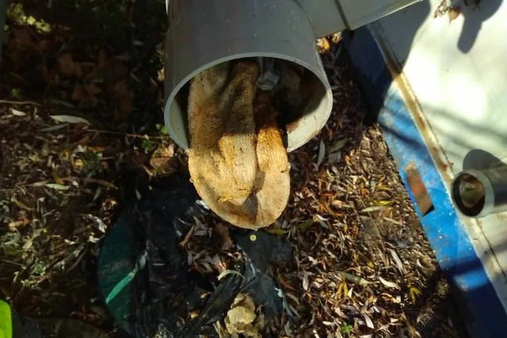 Débouchage WC de chantier chaussette Le Puy Ste Réparade