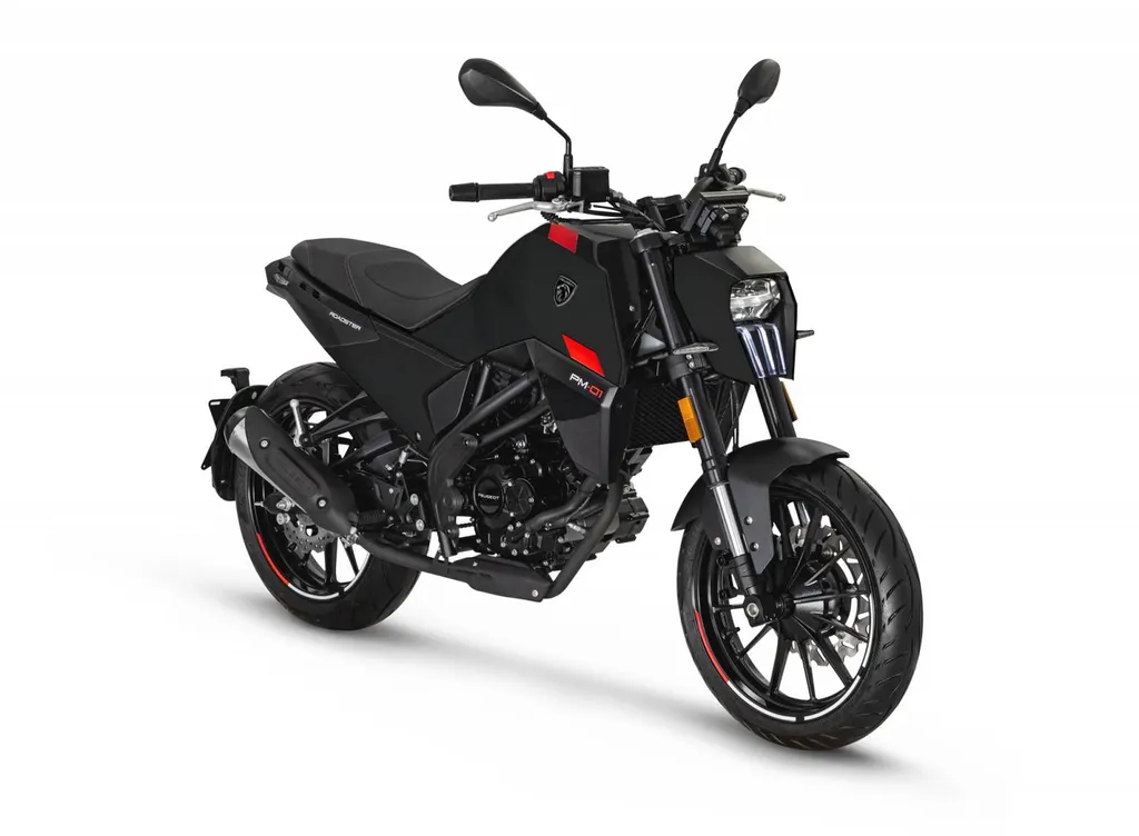 PEUGEOT PM-03 300 ABS TOULON