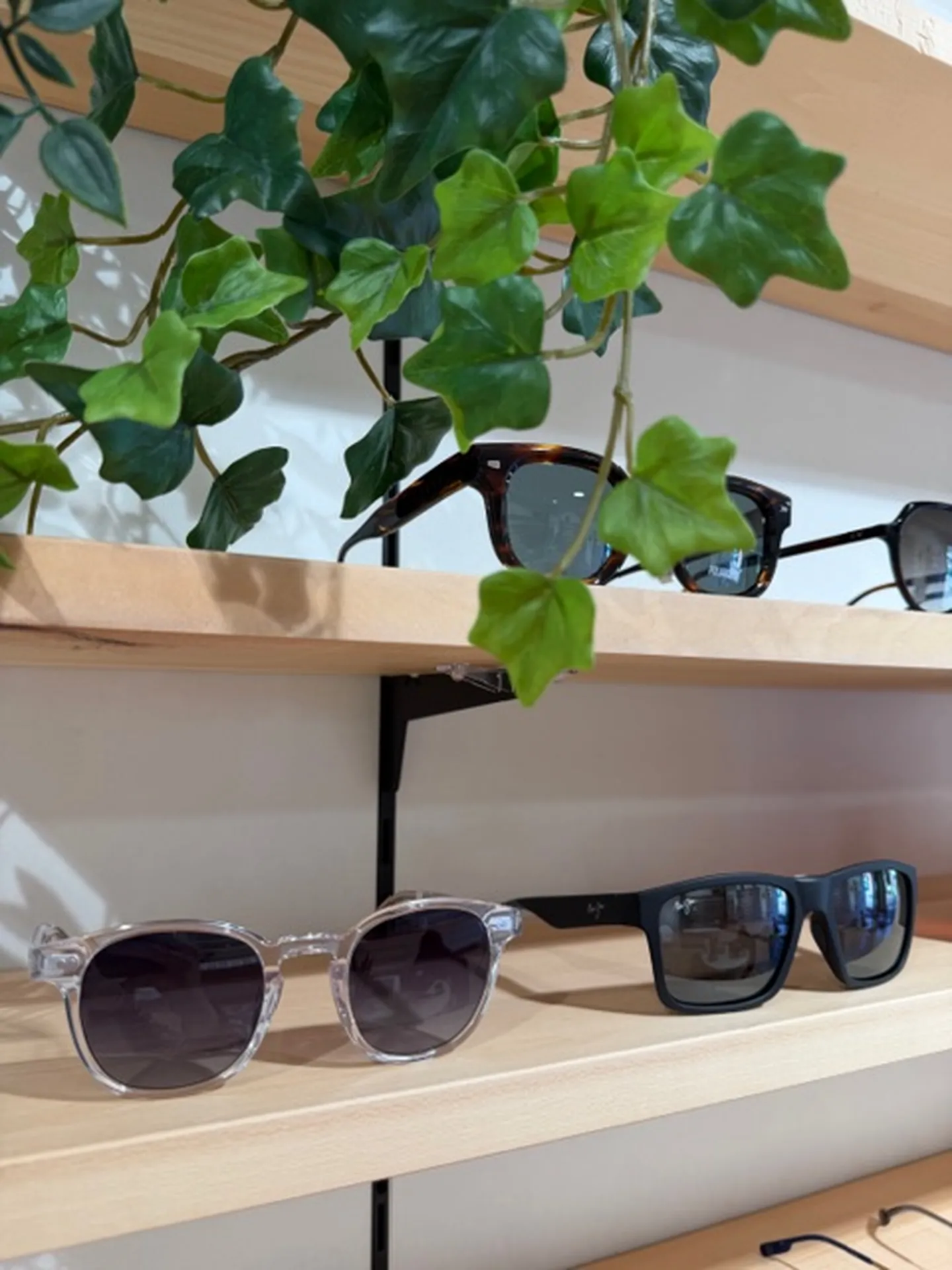 Lunettes de soleil pour homme à Ramonville Saint Agne et Castanet Tolosan